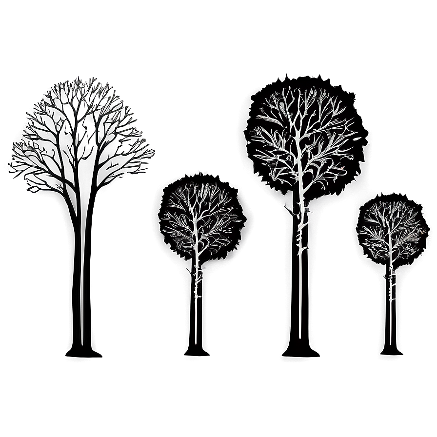 Black And White Trees Scenery Png Fjn81 PNG Image