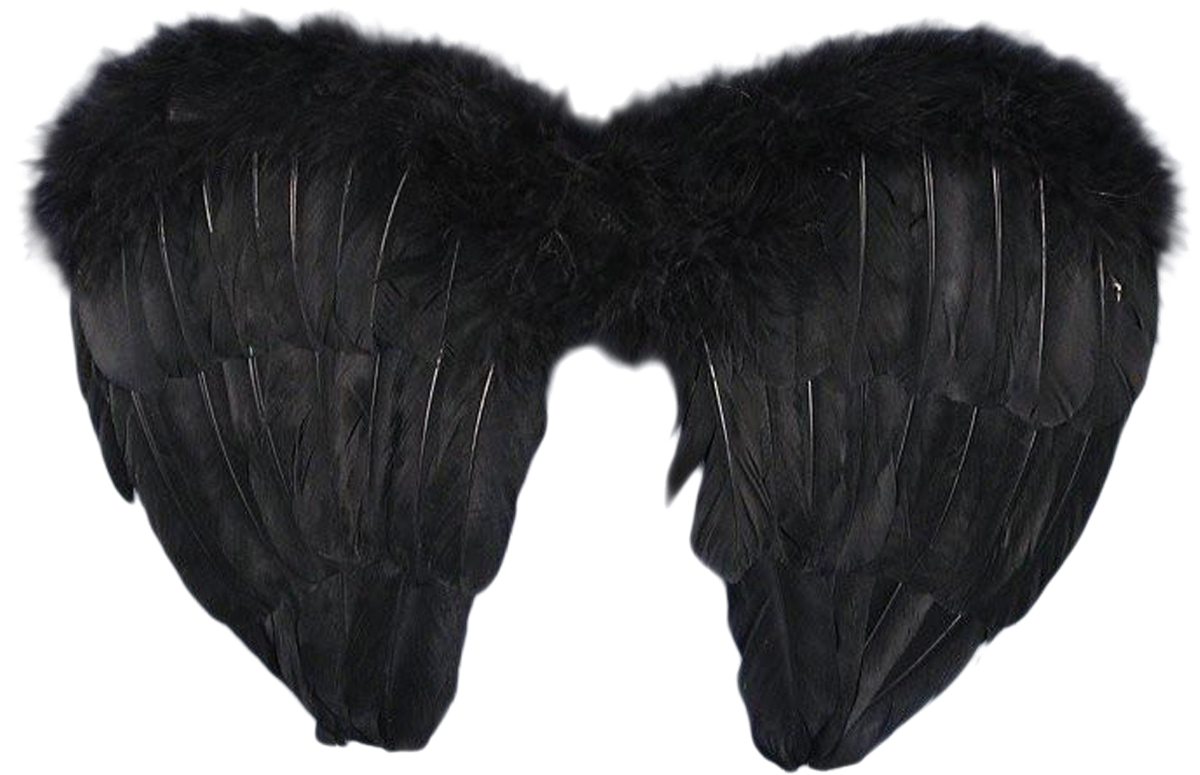 Black Angel Wings Costume Accessory PNG Image