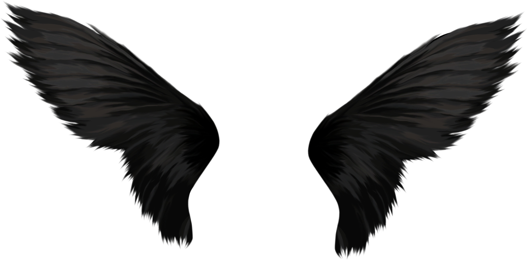 Black Bird Wings Spread PNG Image