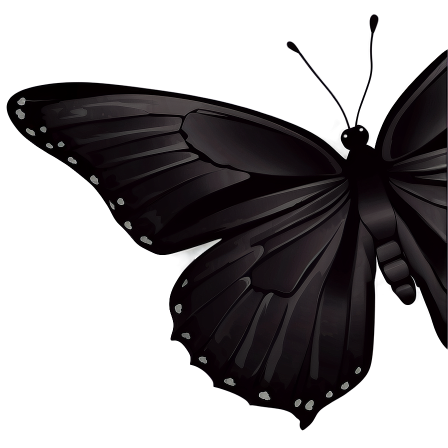 Black Butterfly Clipart Png Fcx67 PNG Image