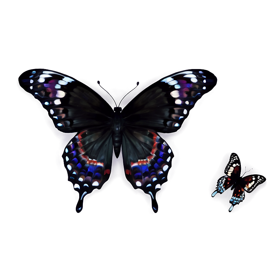 Black Butterfly Effect Png 06252024 PNG Image