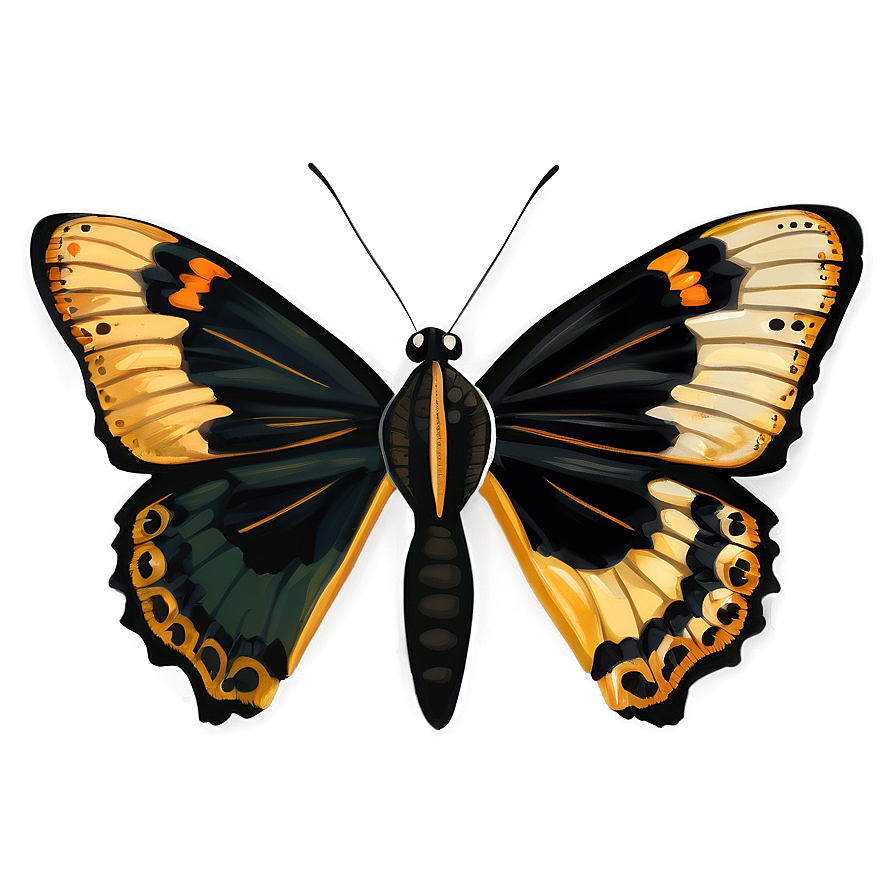 Black Butterfly Illustration Png Efe6 PNG Image