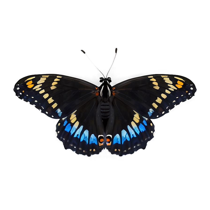 Black Butterfly In Flight Png 06252024 PNG Image