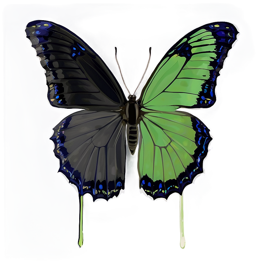 Black Butterfly In Nature Png Eiu PNG Image