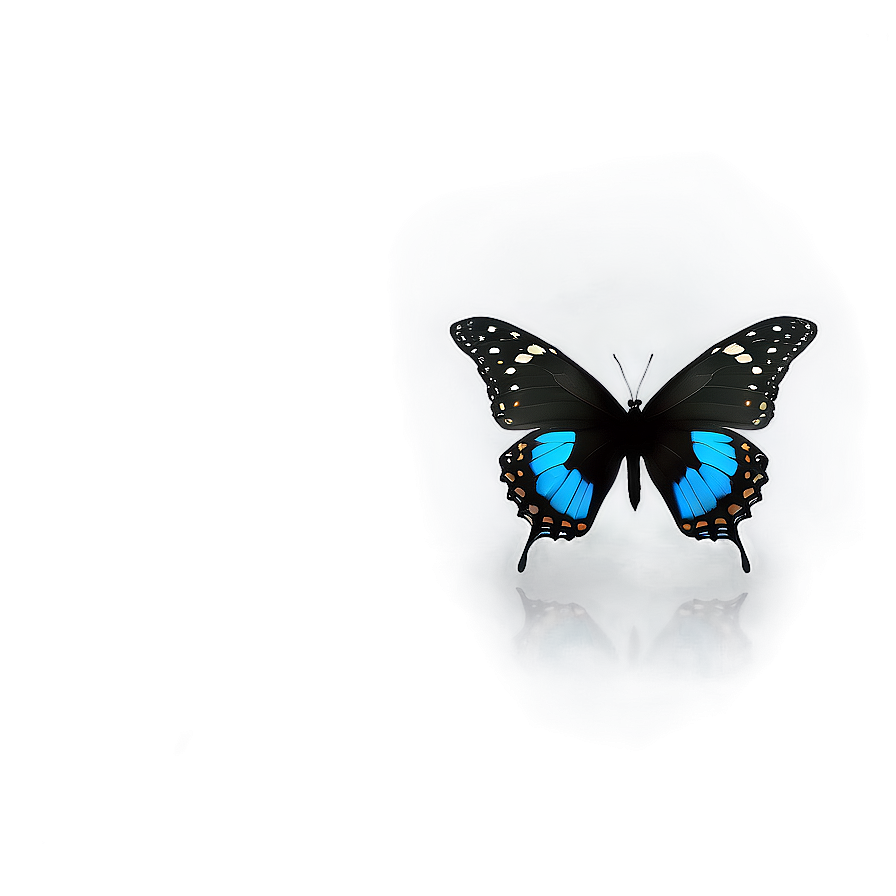 Black Butterfly Profile Png Tah PNG Image