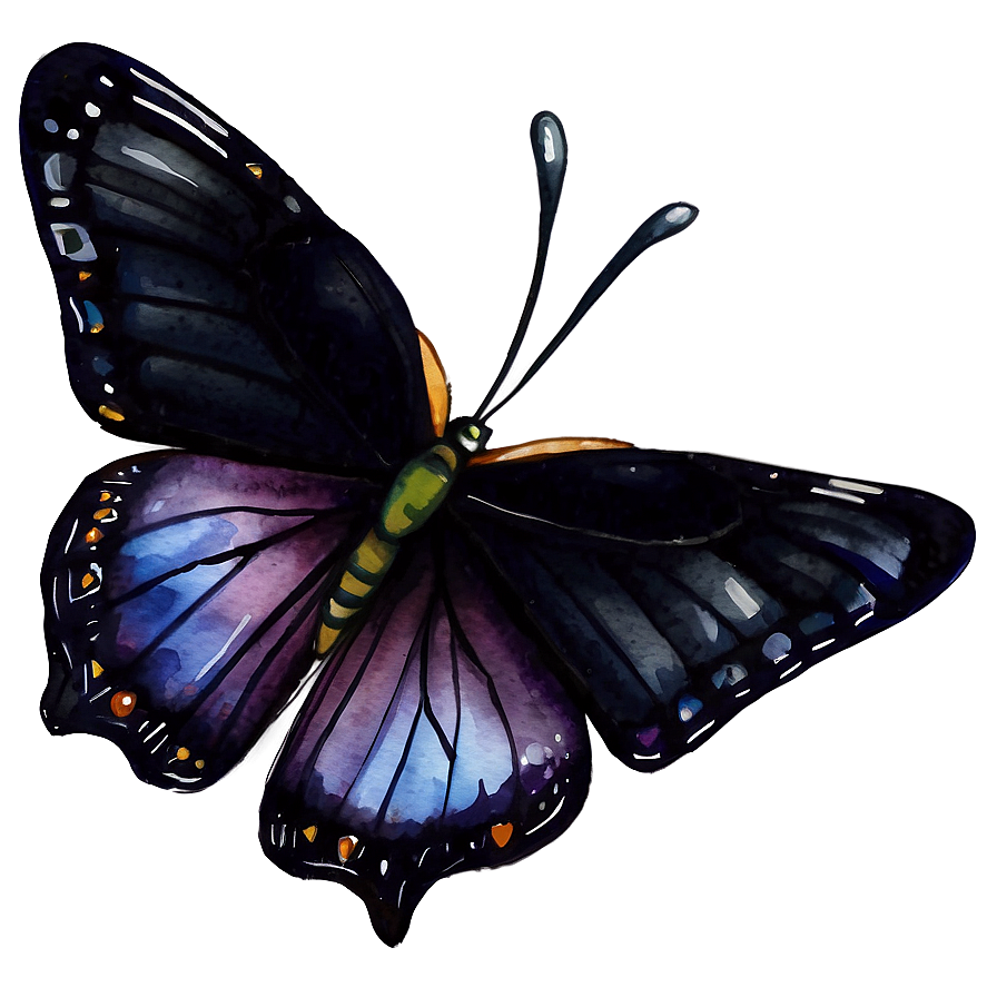 Black Butterfly Watercolor Png Ecg PNG Image