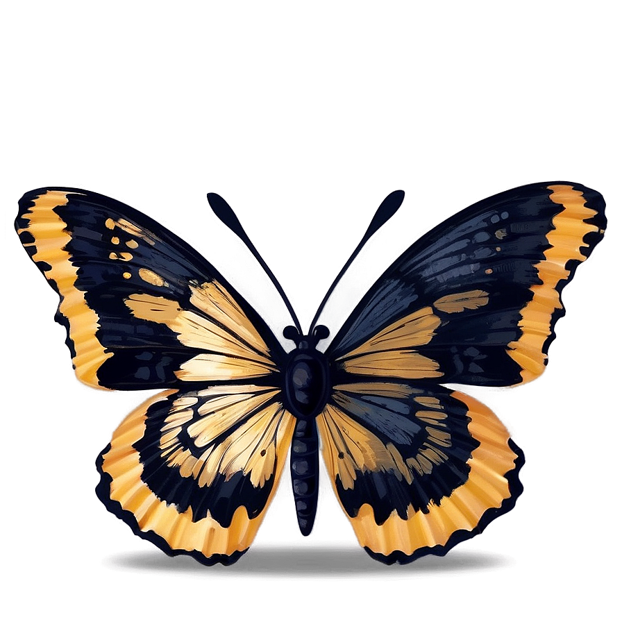 Black Butterfly With Golden Accents Png Acm22 PNG Image