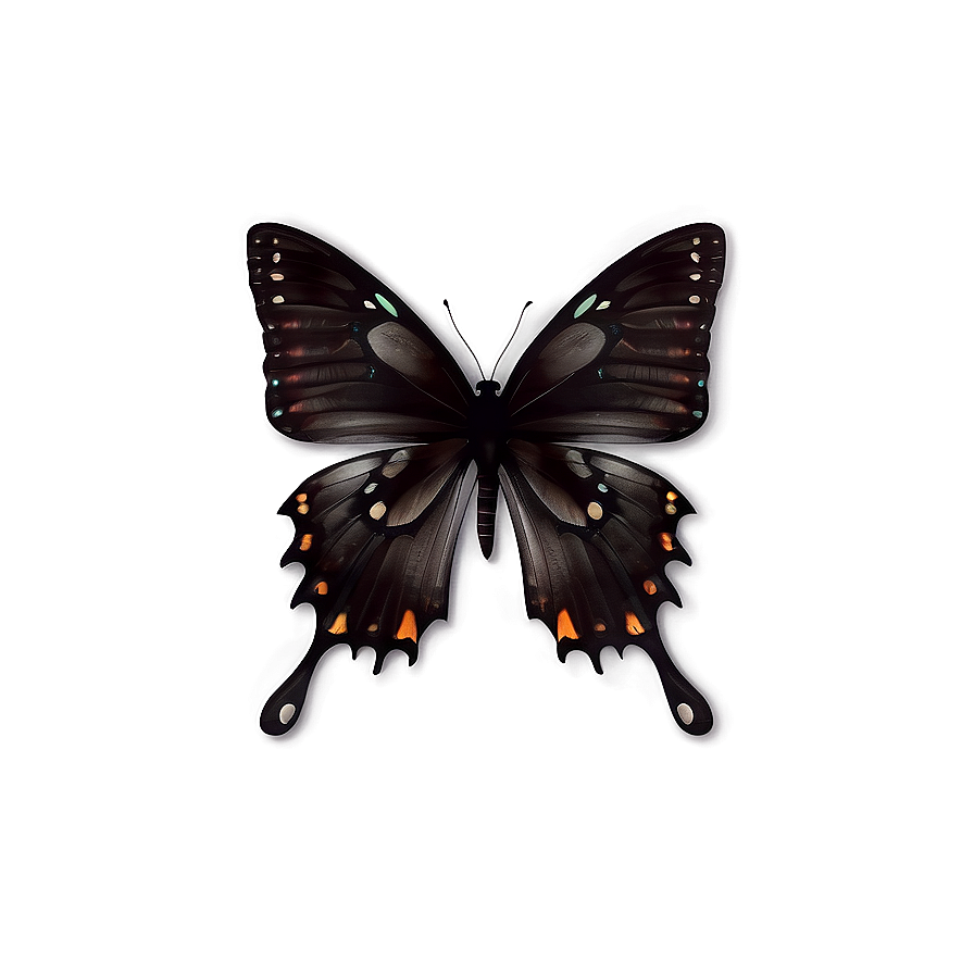 Black Butterfly With Transparent Background Png Pjt30 PNG Image