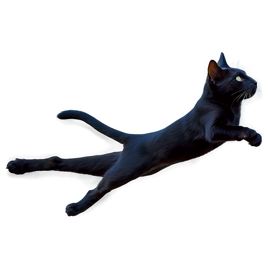 Black Cat Leaping Png Ejp PNG Image