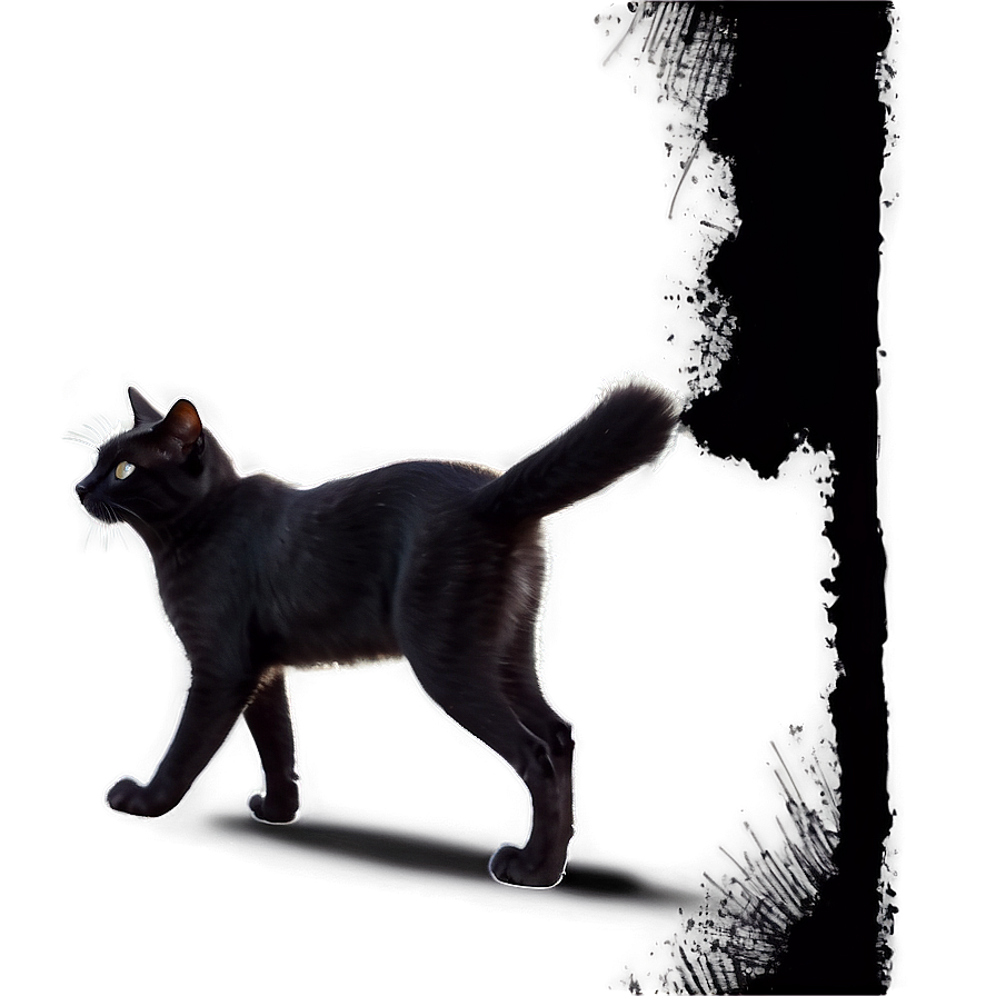 Black Cat Walking Png 71 PNG Image