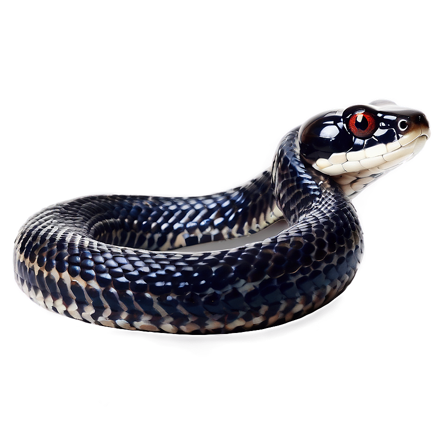 Black Corn Snake Png 76 PNG Image