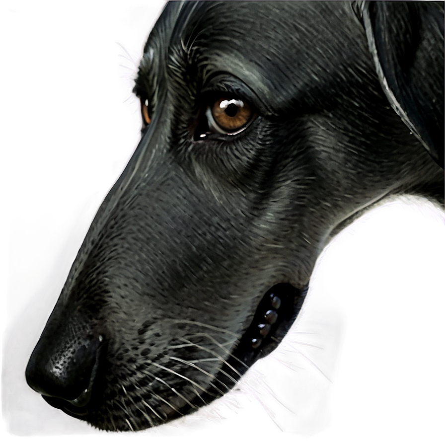 Black Dog Nose Png Nrn91 PNG Image