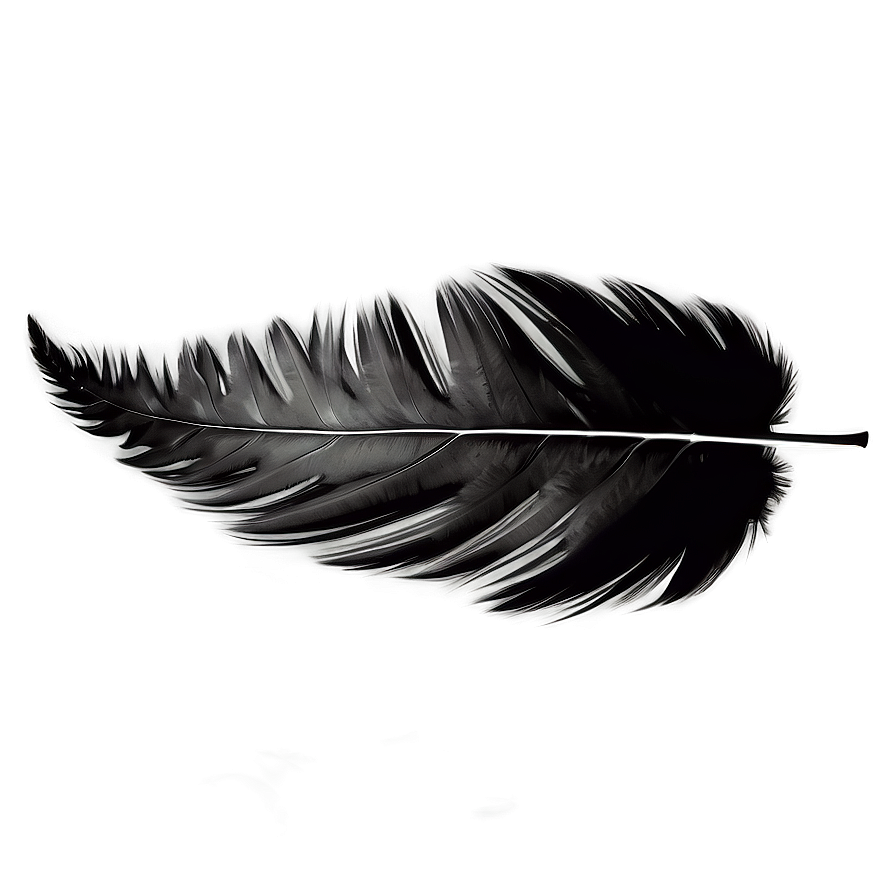 Black Feather Texture Png 06202024 PNG Image