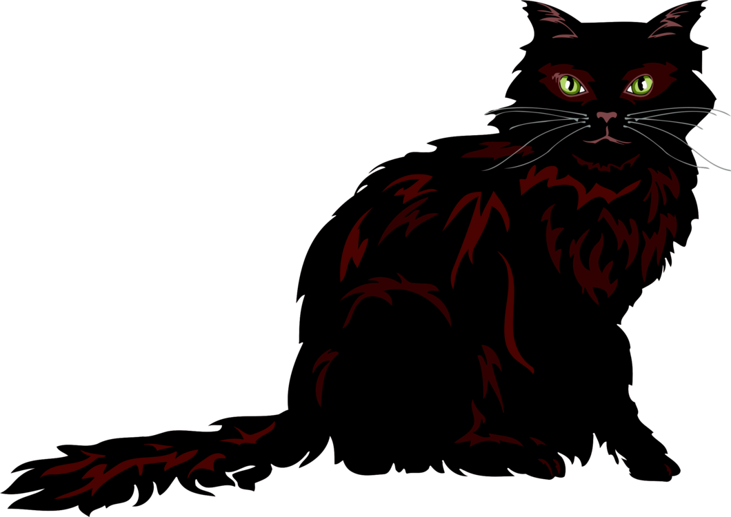 Black Fluffy Cat Illustration PNG Image