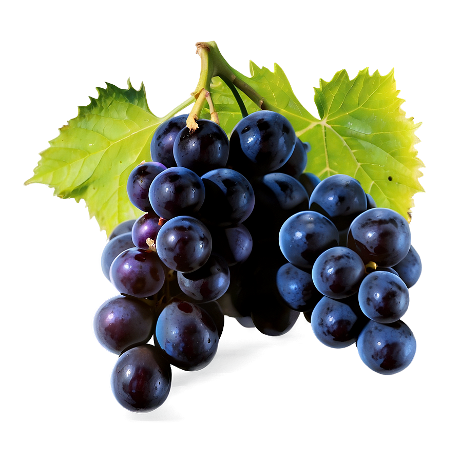 Black Grape Png 05212024 PNG Image