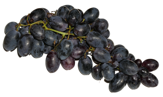 Black Grapes Cluster Dark Background PNG Image