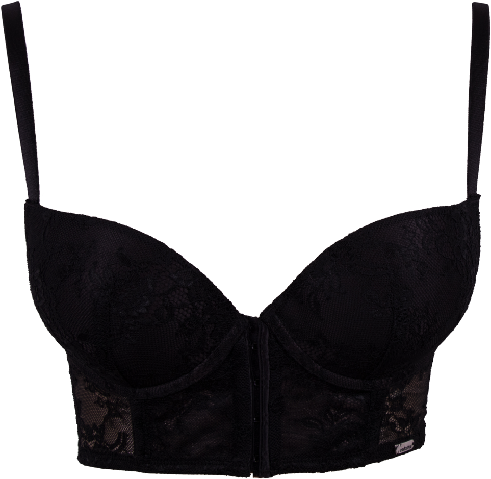 Black Lace Bra Product Photo PNG Image