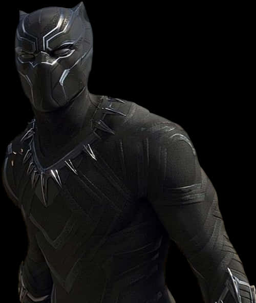 Black Panther Costume Portrait PNG Image