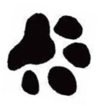 Black Paw Print Graphic PNG Image