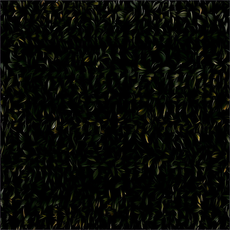 Black Plush Carpet Texture Png Jda17 PNG Image