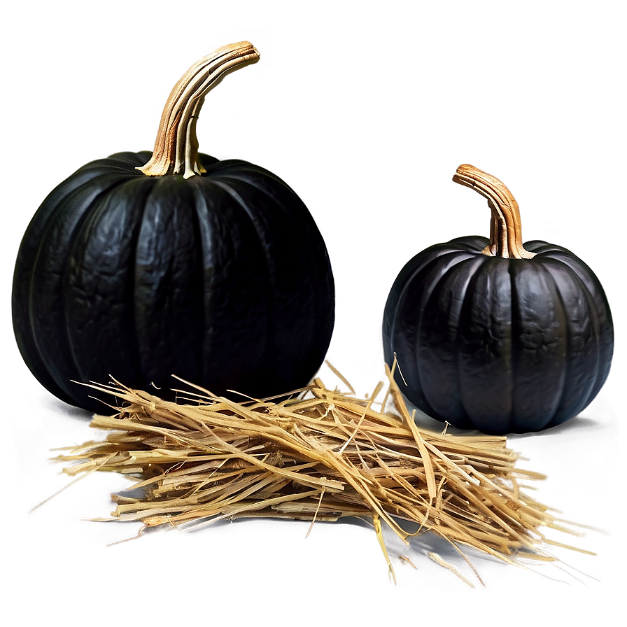 Black Pumpkin On Hay Png Qmd PNG Image