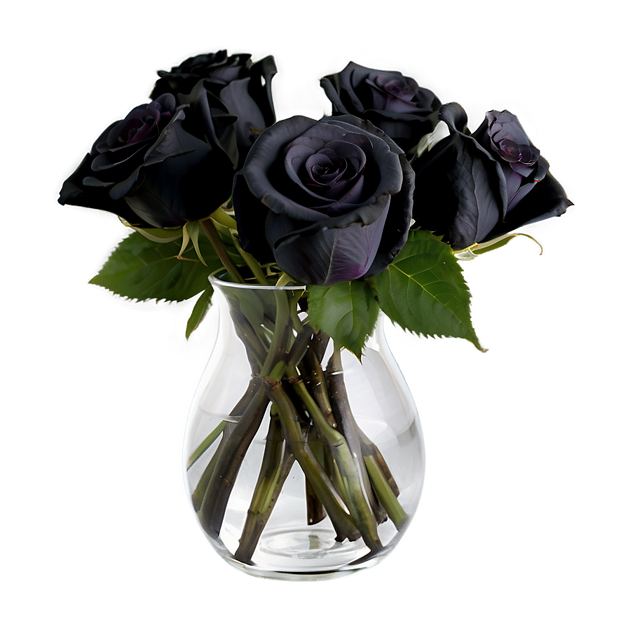 Black Roses In Vase Png 48 PNG Image