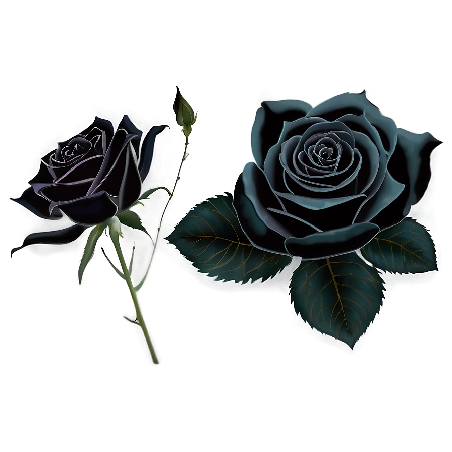 Black Roses Png Bnt PNG Image