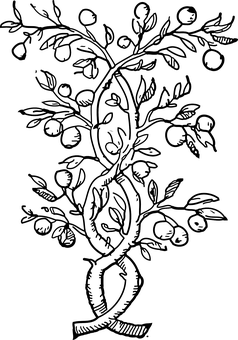 Black Screen Placeholder PNG Image