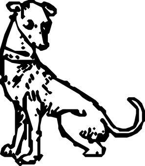 Black Screen Placeholder PNG Image