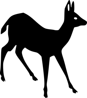 Black Screen Texture PNG Image