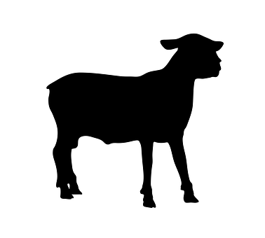 Black Sheep Silhouette PNG Image