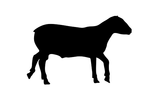 Black Sheep Silhouette PNG Image