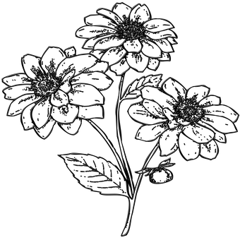 Black Silhouette Flowers PNG Image