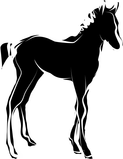 Black Silhouette Foal Illustration PNG Image