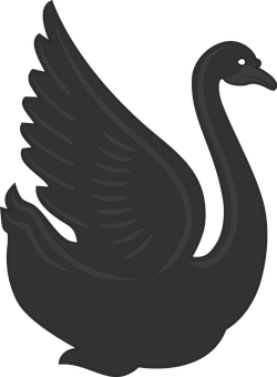 Black Silhouette Swan PNG Image