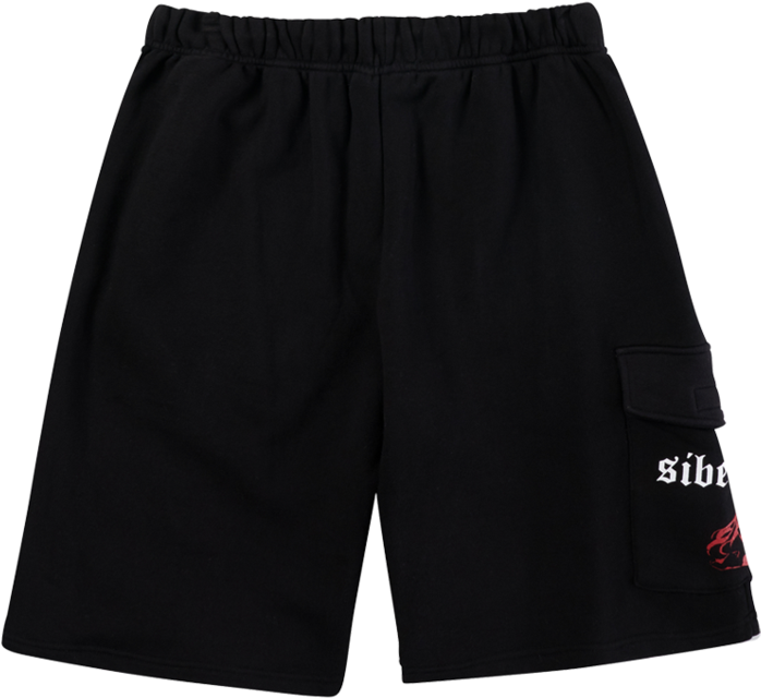 Black Sports Shortswith Logo PNG Image