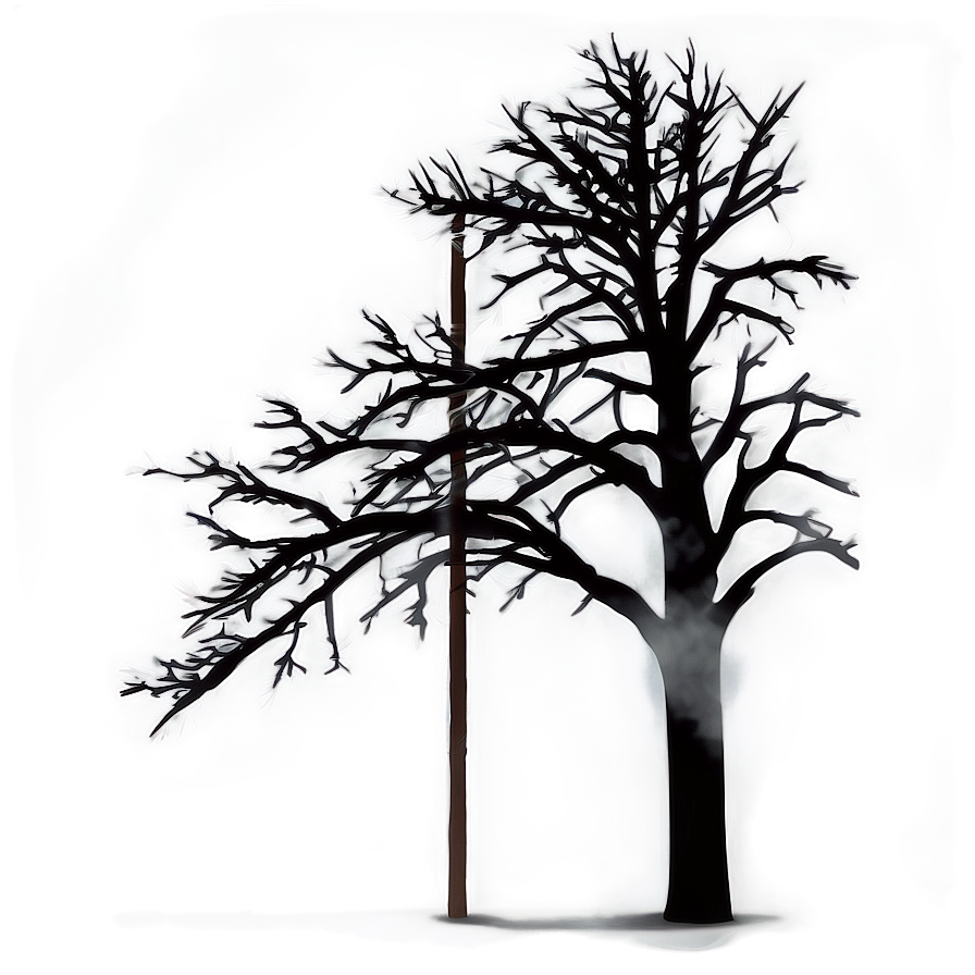 Black Tree In Fog Png 66 PNG Image