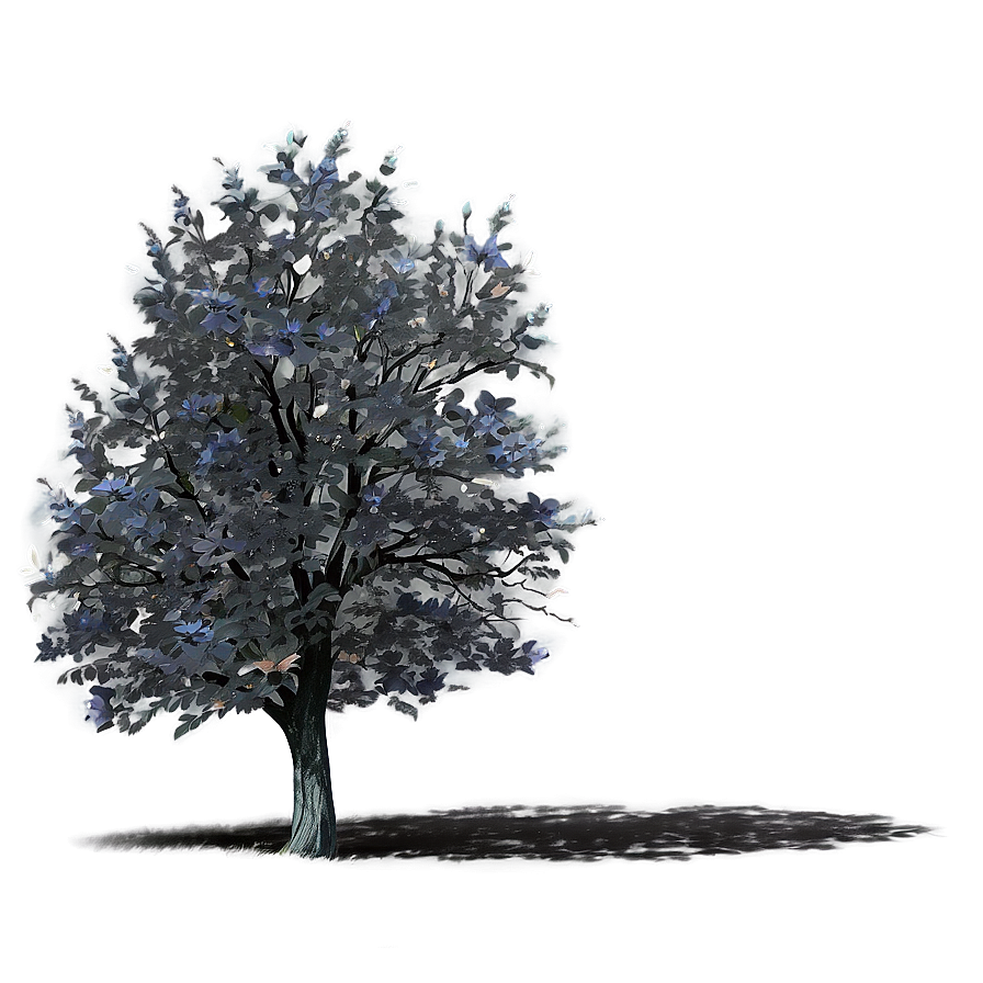 Black Tree In Spring Png 06212024 PNG Image