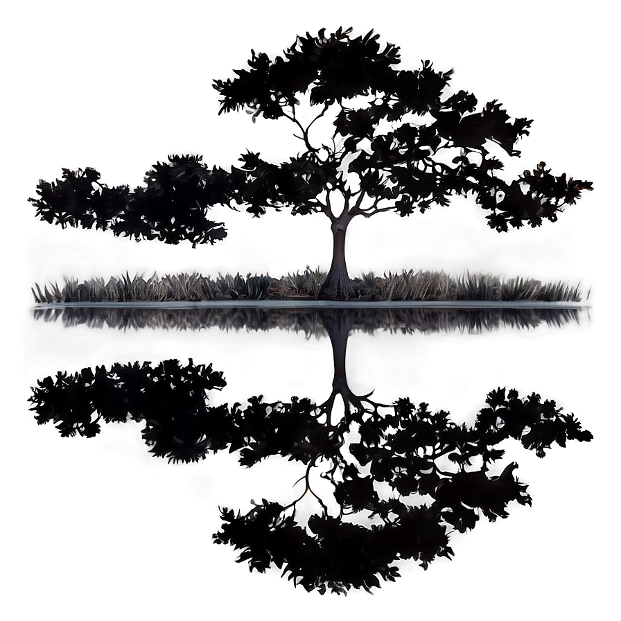 Black Tree Reflection Png 06212024 PNG Image