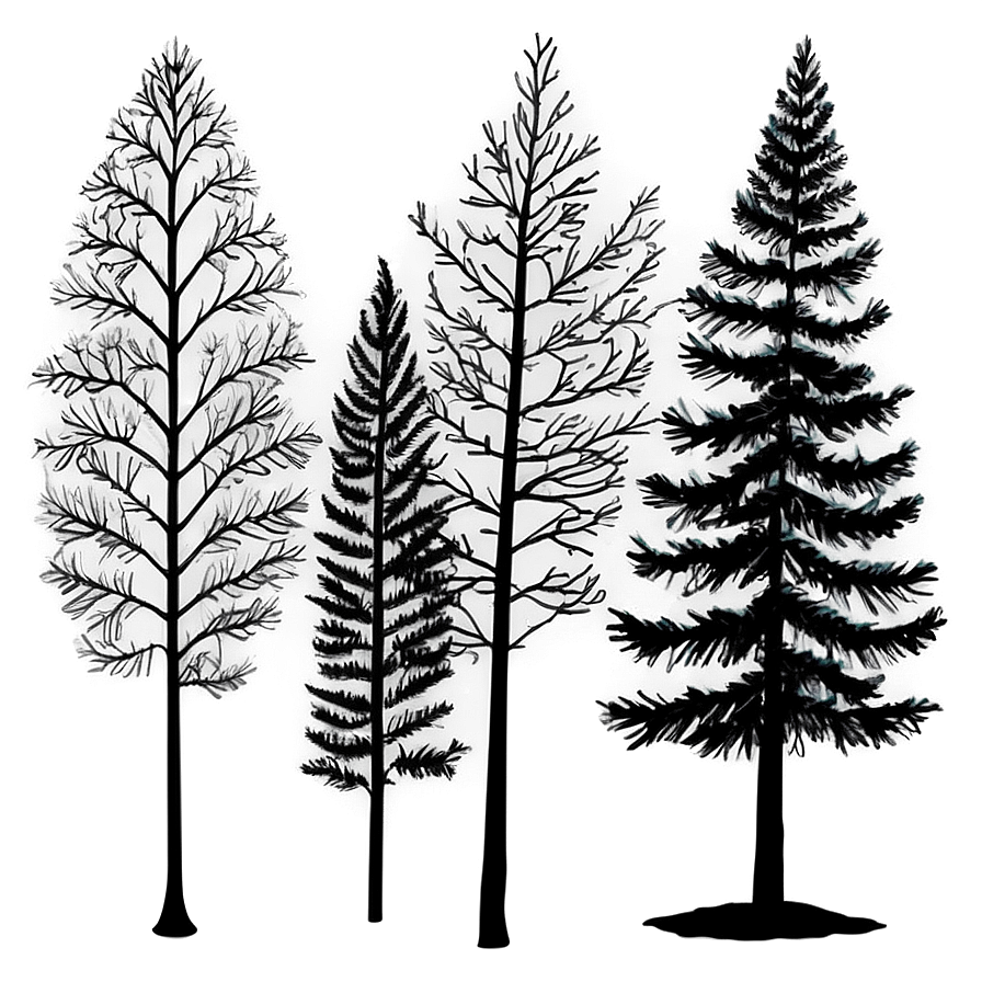 Black Trees Aesthetic Png Xlj74 PNG Image