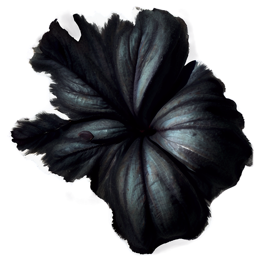 Black Watercolor Effect Png 52 PNG Image