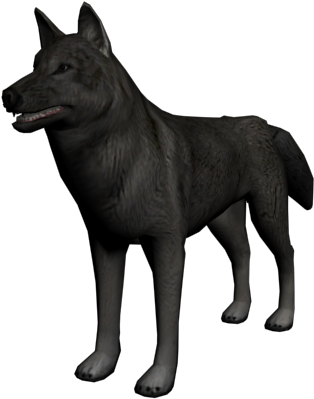 Black Wolf3 D Model Standing PNG Image