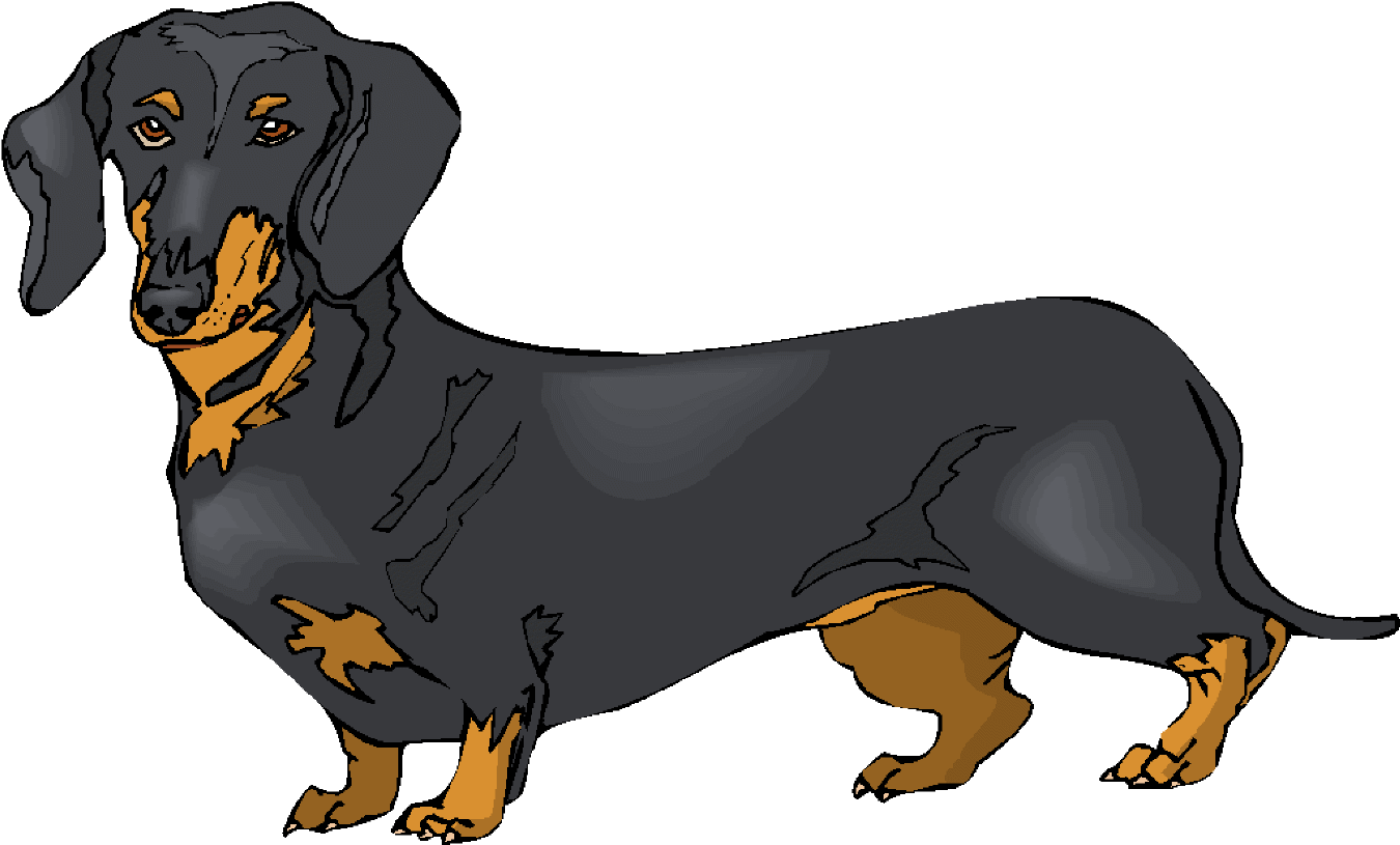 Blackand Tan Dachshund Illustration PNG Image