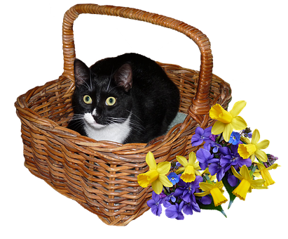 Blackand White Catin Basketwith Flowers.jpg PNG Image