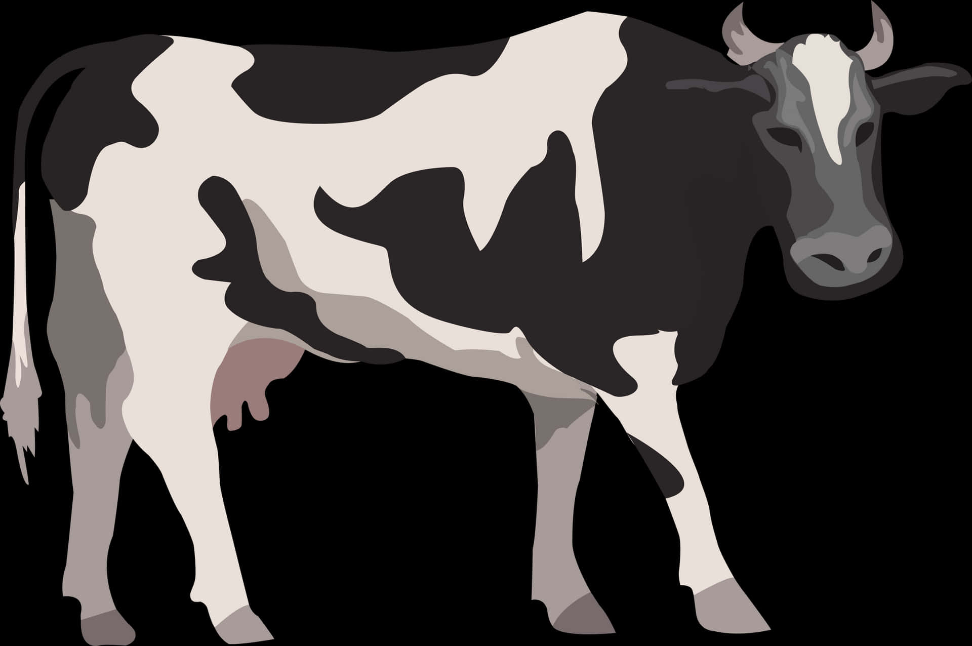 Blackand White Cow Illustration PNG Image