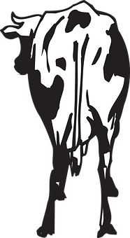 Blackand White Cow Silhouette PNG Image