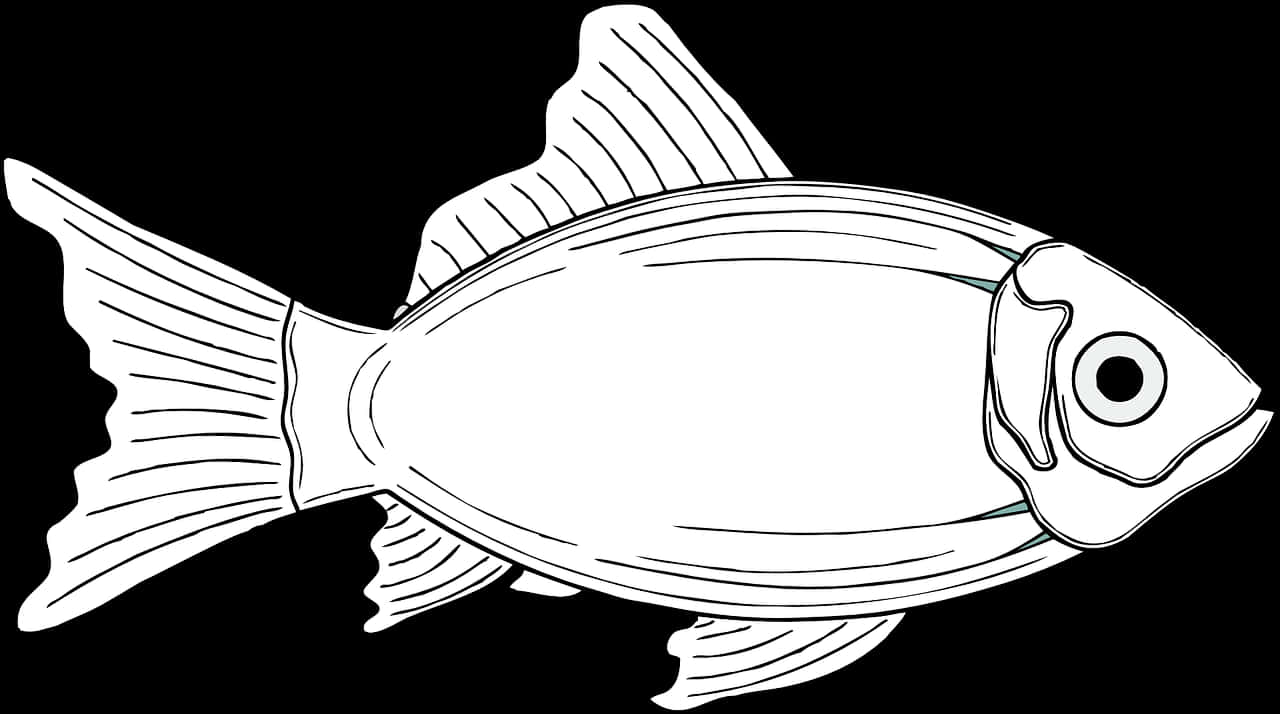 Blackand White Fish Illustration PNG Image