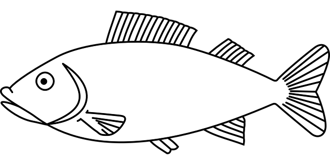 Blackand White Fish Illustration PNG Image