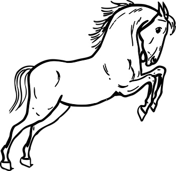 Blackand White Horse Silhouette PNG Image