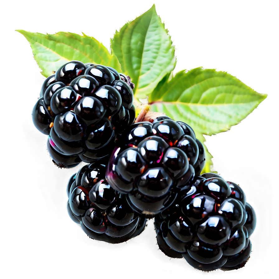 Blackberry Bunch Png Gqw PNG Image